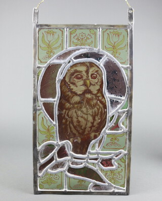 W M Erva, an 18th/19th Century stained glass panel of an owl, the base marked W M Erva 43cm x 25cm 