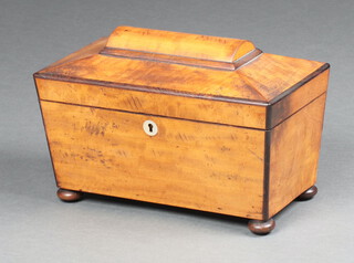 A 19th Century satinwood twin compartment tea caddy of sarcophagus form with hinged lid raised on bun feet 17cm h x 30cm w x 16cm d 