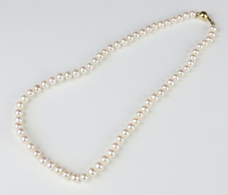 A strand of cultured pearls with a yellow metal 750 clasp 40cm 