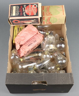 A collection of vintage light bulbs including a neon OSGLIM Beehive and a similar boxed MAZDA example