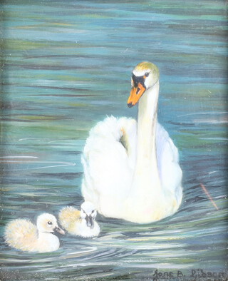 Jane B Gibson, miniature watercolour signed, study of swan and signets 7cm x 6cm  