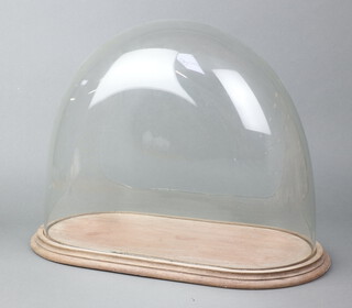 A 20th Century oval glass dome raised on a wooden base 36cm h x 42cm w x 20cm d 