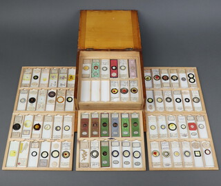 A collection of 68 19th Century and later microscope slides, contained in a pine box 