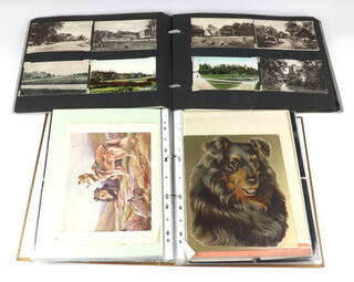 A ring bound album of black and white and coloured postcards of dogs together with an album of black and white and coloured postcards of country scenes, churches and buildings etc 