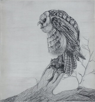 Etching, study of an owl on a tree stump, unsigned 28cm x 26cm 