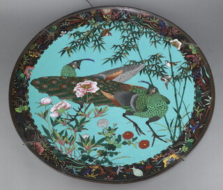 A 19th Century Japanese blue and black ground cloisonne enamelled charger decorated fabulous birds 60cm diam. 