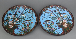 A pair of 19th Century Japanese blue and floral patterned cloisonne enamelled chargers decorated birds 30cm, contact marks in places  