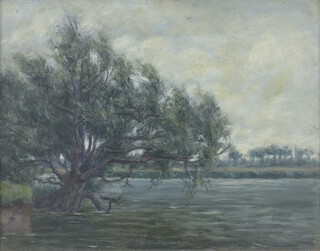 Victorian oil on board, unsigned, a riverscape with trees 25cm x 33cm 