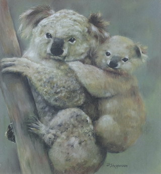 P Shepperson, watercolour signed, study of Koala bears 27cm x 25cm 