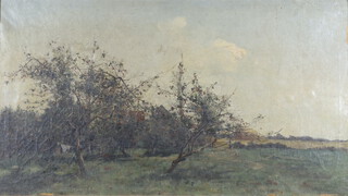 19th Century oil on canvas unsigned, study of a farm house and fruit trees 50cm x 90cm 