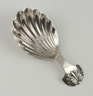A Britannia standard silver scallop shaped caddy spoon Birmingham 1911, maker Levi and Salaman, 16 grams 