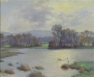 R Green, English 21st Century oil on board, landscape "Floodwater, Pulborough"  signed R. Green, 44cm h x 55cm w, framed 
