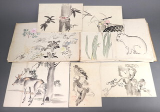 A folio of 20th century Chinese watercolours of animals, birds and flowers (20)