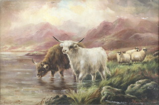 Frank Bennett, oil on canvas, study of highland cattle and sheep with distant mountains, signed, 38cm x 58cm (relined)