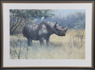 Mathew Hillier, limited edition print signed in pencil, no.13 of 20, study of a rhinoceros  