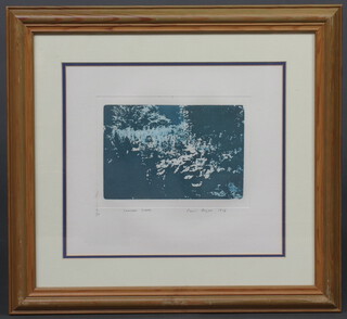 Paul Rogers 1976, print "Summer Glade" no.7 of 50, signed in pencil 28cm x 31cm and Mack Echine '78, print "Kibble Palace, First Reflection" no.3 of 25 33cm x 44cm 