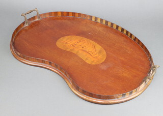 An Edwardian inlaid mahogany kidney shaped twin handled tea tray inlaid a shell to the centre 5cm x 59cm x 36cm 