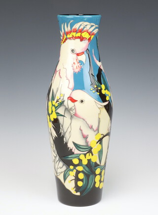 A Moorcroft Major Mitchell Cockatoos pattern vase, designed by Vicky Lovatt, impressed marks, Trial, a second, 42cm 