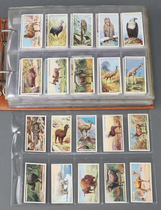 A mixed collection of complete and incomplete sets of cigarette cards in a Glen folder to include Gallaher Ltd -  British Birds, Sporting Personalities, Wild Animals, Wild Flowers, Aeroplanes, Park Champions, Trains of the World, Army Badges, Churchman  - Eastern Promises, Legends of Britain, Kings Coronation, Howlers, Treasure Trove, In Town Tonight, Association Footballers and John Player - Natural History 