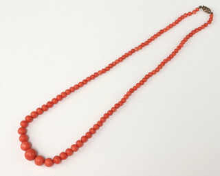 A string of graduated coral beads 50cm with 9ct clasp.