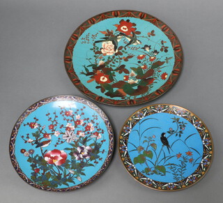 Three blue ground cloisonne enamelled chargers decorated birds amidst branches 21cm, 24cm and 31cm 