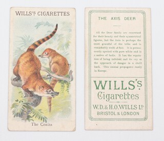 Wills overseas cigarette cards, Animals and Birds circa 1902 W.17, descriptive backs, incomplete set of 41, a complete set of 50 Circle and Leaves backs circa 1909 together with a set of 17 UTC South African editions with Coodoo Cigarette leaf backs 