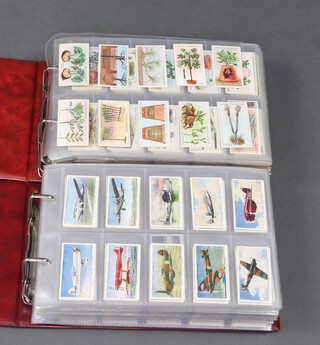 Wills cigarette cards, two Glen folders of 1920's onwards cigarette cards in sets to include Gardening Hints, Flowering Trees and Shrubs, Engineering Wonders, Roses, Wonders of The Past, Do You Know Series 1 to 4, Lucky Charm, Flower Culture in Pots, London Aquarium, Life in the Tree Tops, Dogs, Association Footballers, Air Raid Precautions, Wild Flowers, Sea Shore Speed, Shannon Electric Power Scheme, Railway Engines, Safety First, Wild Flowers, Radio Celebrities, Irish Beauty Spots, Household Hints, Garden Hints, Garden Flowers, etc 