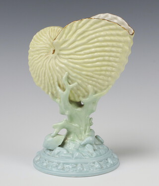 A Royal Worcester vase in the form of a conch shell raised on a seaweed base numbered 494 20cm 