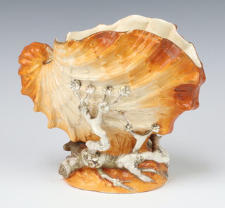 A 19th Century English porcelain vase in the form of a conch shell raised on a seaweed base 19cm 