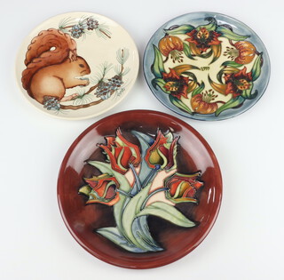 A Moorcroft Limited Edition year plate "Squirrel" dated 1995, designed by Rachel Bishop, no.19 of 500, 22cm,  ditto "Anna Lily" dated 1999, designed by Nicola Slaney, no.62 of 750, 22.5cm and 1 other plate decorated "Tulips", designed by Sally Tuffin, monogrammed JK 26cm 