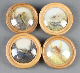 H E Hervey, four watercolour and felt collages - green woodpecker, badger, harvest mouse and leaping chick, all in circular wooden frames 8.5cm diam.