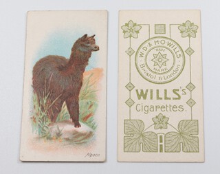 Wills overseas cigarette cards, Wild Animals of The World (1906) W.15 Star Circle and Leaves issue, a complete set of 50 