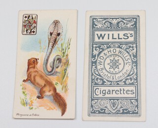 Wills cigarette cards, Wild Animals of The World (1900) W.15, grey scroll back, playing card inset, a complete set of 52 