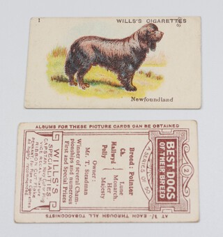 Wills overseas cigarette cards, Best Dogs of Their Breed (1914) W.48, Wills Specialities issue, a complete set of 50 