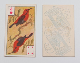 Wills overseas cigarette cards, Birds of Brilliant Plumage (1916) W.152, Pirate issue, border to front, a complete set of 52 