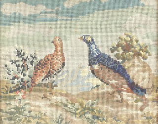 19th Century wool work embroidery of game birds 24cm x 30cm and a ditto of a dog sitting on a cushion 24cm x 25cm 