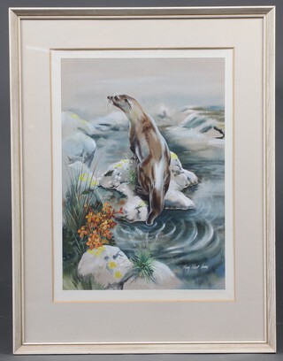 Mary Elliot Lacey (1923-2004), watercolour signed, study of an otter 42cm x 30cm 