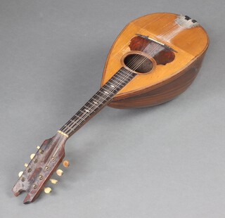 A mandolin labelled E Pedrazzolli 