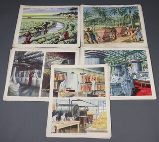 A quantity of educational Macmillan Geography lithographs depicting British and Commonwealth manufacturing scenes 53cm h x 43 cm wide