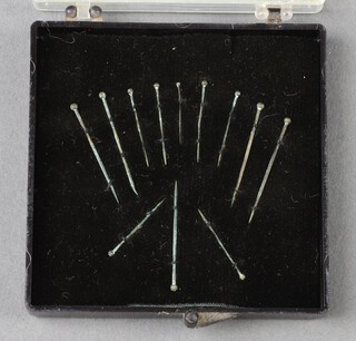 Twelve Roman pins 