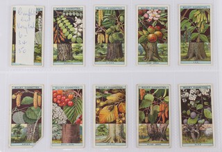 Wills cigarette cards, a binder of sets to include Flowering Trees and Shrubs, First Aid, A Series of Alpine Flowers, Lucky Charms, Merchant Ships of The World, Railway Equipment and Speed