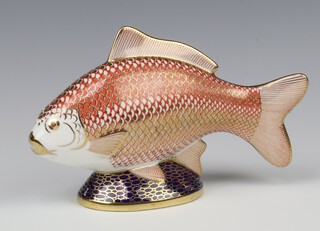 A Royal Crown Derby Imari pattern paperweight of a carp, gold stopper, 18cm 