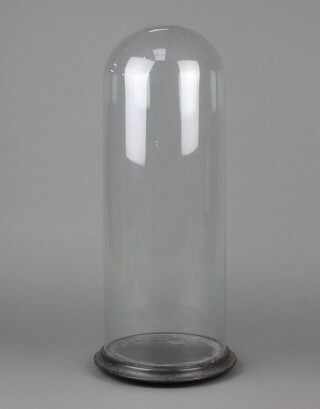 A tall glass dome on an ebonised base 50cm 