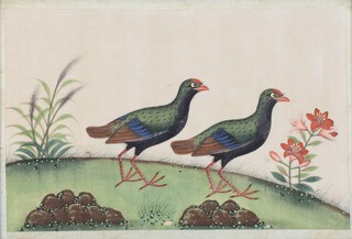 19th Century Chinese watercolour on rice paper, study of 2 birds amongst flowers 17.5cm x 27.5cm 