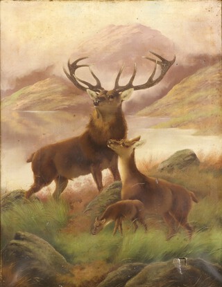 Victorian oil on canvas indistinctly signed, a stag and deer 90cm x 70cm 