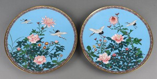 A pair of Japanese blue ground cloisonne enamelled chargers decorated storks amongst branches 30cm diam. 