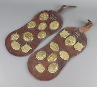 Two 19th Century oval shaped leather Martingales with 18 various oval and shied shaped brass plaques 40cm l x 18cm w