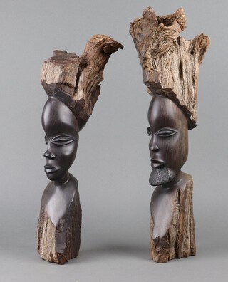 Two African carved root wood head and shoulders portrait busts of a lady and gentleman 47cm h 