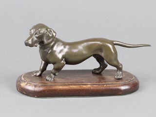 A bronze figure of a standing Dachshund 6cm x 17cm raised on a wooden base 