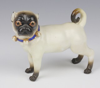 A 19th Century Continental figure of a standing pug dog wearing a collar 12cm 